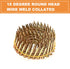 BHTOP 1080 Count Coil Roofing Nails, 1-Inch x .120-Inch for Roofing Nail Gun, Electro Galvanized Air Nails