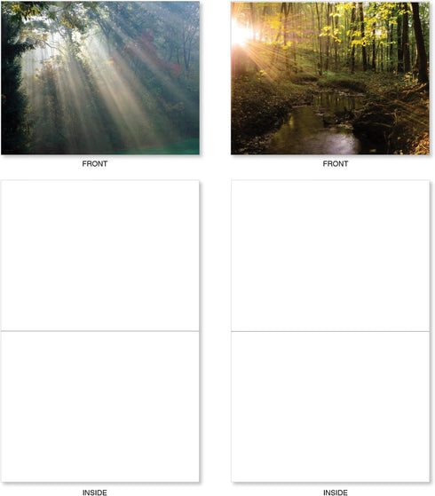 The Best Card Company - 20 Blank Landscape Nature Note Cards (4 x 5.12 Inch) - 10 Designs, 2 Each - Shining Through