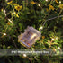 4 Pack 16.4 50 GDEALER Feet Led Fairy Lights Battery Operated with Remote Control Timer Waterproof Copper Wire Twinkle
