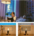 25W Equivalent E26 LED Bulb, Dimmable E26 Candelabra Light Bulbs, Energy Efficient 2W, Warm White 2700K, 200lm Flame Tip CA10 LED Candle Bulb for Pendant Chandeliers Wall sconces, 8 Pack by AIELIT