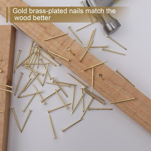 240pcs Brass Plated Wood Nails, 1-1/2” × 14 Ga for Hanging Wall Decor, Finishing, Picture Hanging, Wall, Roofing Nails