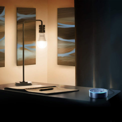A19 Bulb Energizer Connect Smart LED Warm White Light with Voice Control and Remote Access Through Your Smartphone |