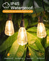 GLUROO LED String Light Bulbs, ST38 Shatterproof, E12 C7 Screw Base, 1W Equivalent to 7W Incandescent, 4 Pack