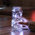 XINKAITE 30 Micro LEDs on 10Feet/3M Fairy Silver Wire, Battery Operated String Lights, Cold White