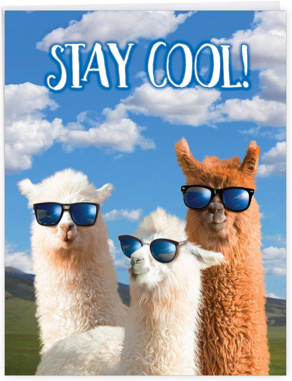 NobleWorks Jumbo Funny Congratulations Greeting Card, 8.5 x 11 Inch with Envelope (1 Pack) - Big Congrats Llamas