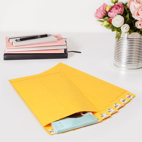 ValBox 6x9 Self Seal Catalog Security Envelopes, 250 Count Small Brown Kraft Envelopes for Mailing, Storage & Organizing