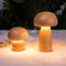 Mushroom-Night-Lights Rechargeable, Cordless Wooden Mushroom Table Lamps, Portable Desk Lamps for Bedroom,