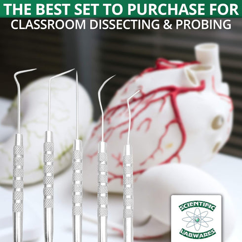 5-Piece Stainless Steel Precision Probe, Pick and Hook Set for Dissection, Clay Modeling, and More