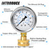 MEANLIN MEASURE 0~100Psi Stainless Steel Frame, 3/4" Female 2.5" FACE DIAL Liquid Filled Pressure Gauge
