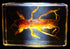 44mm Real Mole Cricket in Crystal Clear Lucite Resin, Preserved Specimen for Biology Science Education