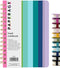 PAPERAGE Lined Spiral Journal Notebook, Rainbow Stripe, 160 Pages, Medium 5.5 inches x 8 inches, 100 GSM Thick Paper,