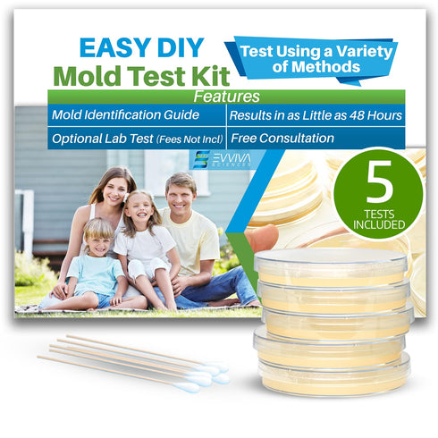Evviva Sciences Mold Test Kit for Home, 5 Simple Detection Tests with Optional Lab Analysis