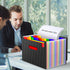 Expanding File Folders, 25 Pockets Accordion Organizer with Handle, Portable Filing Folder for A4/Letter Size, 2