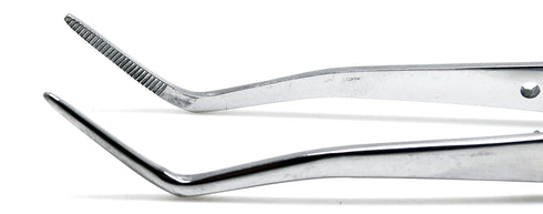 SUPERIOR INSTRUMENTS 16cm Dental Meriam Foil Cotton Tweezer Serrated Angled Beak Dressing Pliers Surgical Forcep