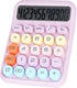 Mechanical Switch Calculator with Big Buttons, 12 Digits, Large LCD Display, Cute Pink Calculator for Office