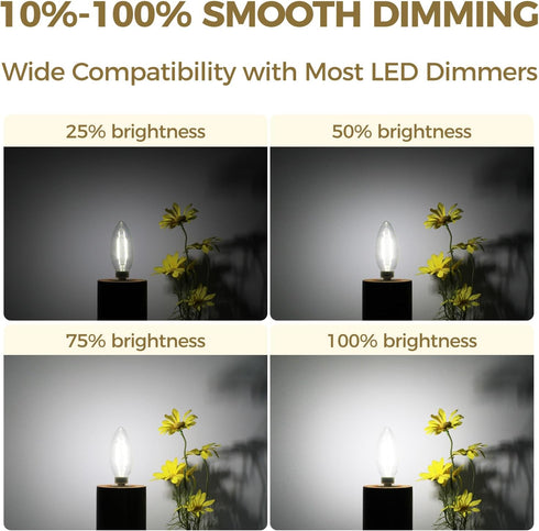 E12 Bulb Dimmable 60 Bulbs 5000K Bulbs, B11 Bulb, 90+CRI, 6W 550LM, 12 Pack Hizashi LED watt Equivalent, Chandelier