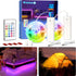 WOBANE 2PCS Rechargeable LED Strip Lights,Dimmable RGB Rope Lighting with Remote,Battery Operated