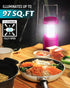 4 Pack A4PK Lichamp LED Camping Lanterns, Battery Powered Camping Lights LED Collapsible Flashlight Portable Emergency
