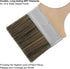 Double Thick Chip Paint Brush, 4 inch Stain Brushes for Painting Walls and Fence Staining