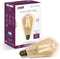 Feit Electric ST1960/FIL/AG 60 Watt Equivalent WiFi Dimmable, No Hub Required, Alexa
