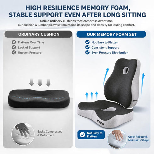 EQEH Set, Seat Cushion and Lumbar Support Pillow Back and Butt Support, Sciatica Relieving Coccyx Cushion, Hemorrhoid