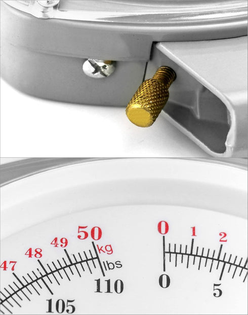 QWORK Heavy Duty Precision Hanging Scale, 110lbs / 50kg Capacity, Dual Unit