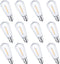 12 Pack E17 LED Bulbs, ST40 Replacement, 0.6W, Waterproof Shatterproof, Dimmable, Warm White 2700K for String Lights