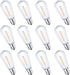 12 Pack E17 LED Bulbs, ST40 Replacement, 0.6W, Waterproof Shatterproof, Dimmable, Warm White 2700K for String Lights