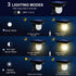 IP65 S NMT Super Bright Outdoor Solar Garden Lights Motion Sensor Pathway Light Landscape Lighting for Yard, Waterproof