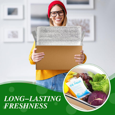 Honoson 2 Frozen Pack Pack Frozen (12'' 5.5'' 7.5'') Pcs Thermal Insulated Shipping Boxes for Food with Ice
