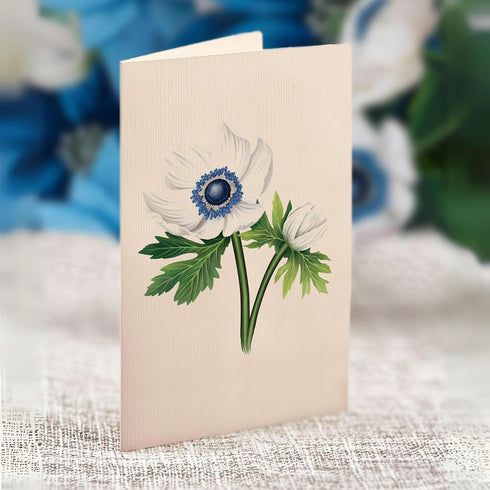 Poinsettia, 10 Inch 3D Freshcut Paper Pop Up Cards, Blue Life Sized Forever Flower Bouquet Popup Greeting Cards