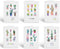 Stonehouse Collection | Assorted Succulent Design Note Card Set | Variety of