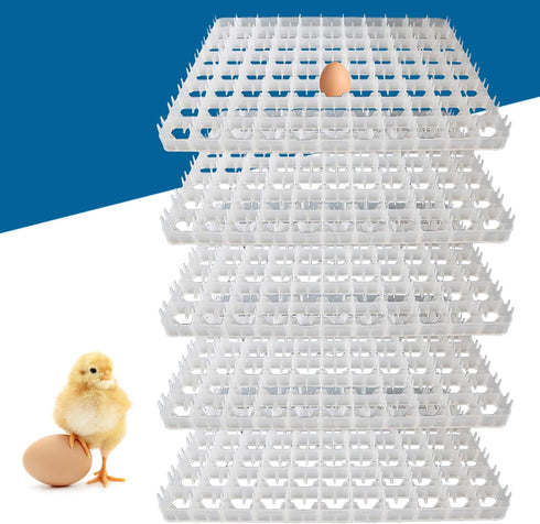 onsjkabv 5 80 Packing, PCS Plastic Egg Incubator Trays Eggs Cartons Egg Flats, Eggs Hatcher Storage Container Each