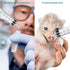 60 Pack 5ml Plastic Syringes, Separate Sterile Packaging, Without Needle, for Scientific Labs Measurement