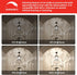 Sengled E12 Bulb Dimmable, 60W CA10 Bulbs, 5000K 12 Pack LED Candelabra Equivalent, Flame Tip Chandelier Light Daylight