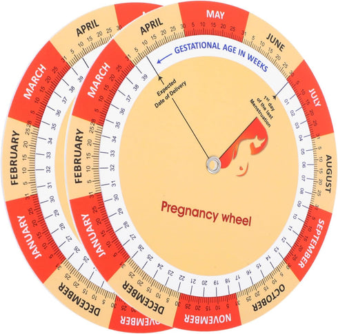 Healeved 2pcs Fetal Development Tracker Chart for Expecting Mothers Comprehensive Guide for
