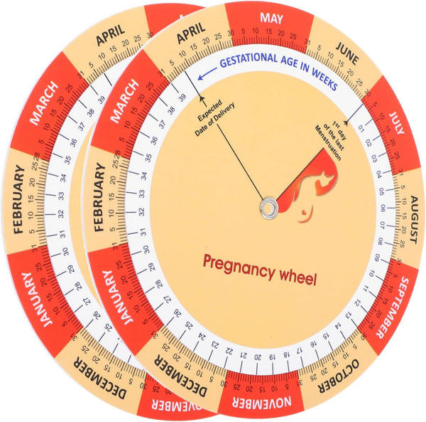 Healeved 2pcs Fetal Development Tracker Chart for Expecting Mothers Comprehensive Guide for