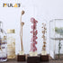 ULAB Scientific 50pcs 25ml Glass Test Tubes with Aluminum Screw Caps, Borosilicate Glass, Dia.18x145mm, Thickness