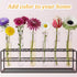 Generic (100pcs) Tubos para Flores Naturales, Tubos para Flores Naturales para Pastel, Water Tubes for Flowers, Flower