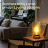 Dimming LUSHARBOR Battery Operated Lamp with Timer, Stepless Bedside Table Lamp Battery Powered Cordless Lamp for Home