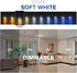 Xtricity 5.5W Flame Tip Clear Filament Chandelier Light Bulbs, 60W Equivalent, 500 Lumens, 2 Pack