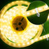 200 200 10 mm 3528/5050 Mudder Pieces LED Strip Light Clips Mounting Bracket Fixing, One Side Fixing Clips with Pieces