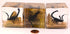 2" Real Black Scorpion in Crystal Clear Lucite Resin Diorama Paperweight for Biology Education & Display