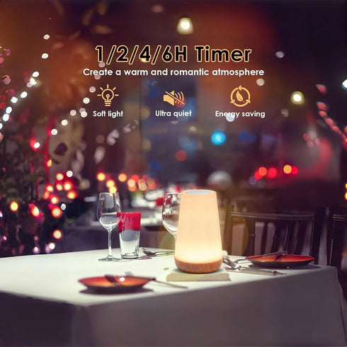 2 Pack Light,13 5 LED Night RGB Colors & Brightness, USB Rechargeable Touch Lamp, Portable Lamp for Baby, Bedroom