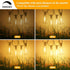 25 ST38 13 Bulbs, E12 Brightever Outdoor String Light FT, Patio Lights with Edison Waterproof Connectable Hanging
