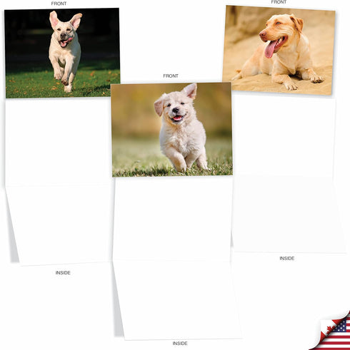 The Best Card Company - 10 Adorable Blank Dog Cards (4 x 5.12 Inch) - Boxed Set of Lovable Labs AM6325OCB-B1x10
