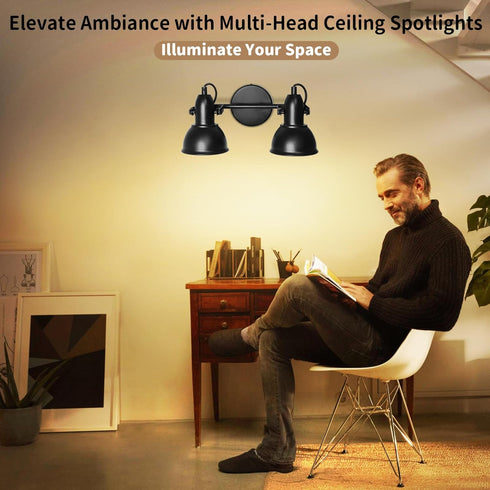 2-Light E26 Bulbs LTBLIGHT LED Track Lighting Kit, Directional Ceiling Light Fixture, Industrial Black Ceiling Spot