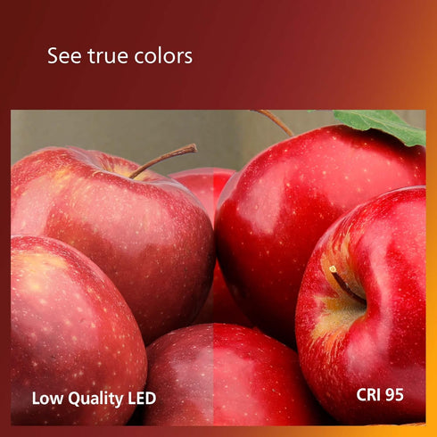 Vintage ST19 Clear Spiral Dimmable LED Light Bulbs - E26 Bulb - Flicker-Free Light Bulb with EyeComfort Technology, 400