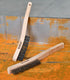 MAXMAN Heavy Duty Wire Brush, Carbon Steel and Stainless Steel for Cleaning Rust, Grill, Paint Removal, 14" Long Beech