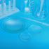 PATIKIL 80 mm Diameter Watch Glass, 12 Packs Beaker Cover with Smooth Edges for Laboratory Use
